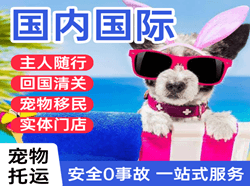 包头航空快运国际宠物托运 【国